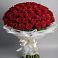 Букет 101 Красная роза Блэк Мэджик в Ирше