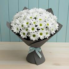 Букет цветов из:  Хризантемы #REPLACE_PRED# Ирше