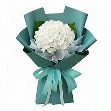 Букет цветов из:  Гортензия в Ирше
